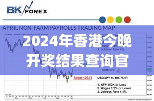 2024年11月28日 第17頁