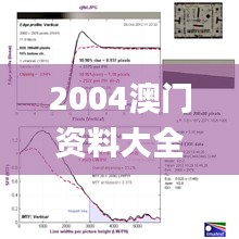 2004澳門資料大全免費酷,時代變革評估_智慧共享版XZB5.58