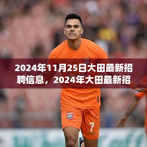 2024年大田最新招聘信息解析，職場機遇與挑戰(zhàn)的深度探討