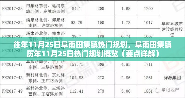 阜南田集鎮(zhèn)歷年11月25日熱門規(guī)劃詳解與概覽