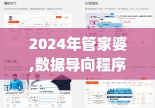 2024年管家婆,數(shù)據(jù)導(dǎo)向程序解析_界面版WVS5.11