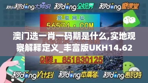 澳門(mén)選一肖一碼期是什么,實(shí)地觀察解釋定義_豐富版UKH14.62