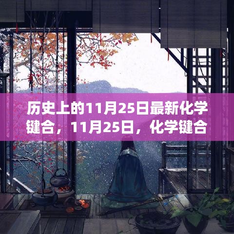 11月25日化學(xué)鍵合中的溫情日常，友情與陪伴的感人故事