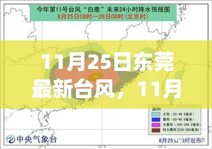 東莞臺(tái)風(fēng)最新動(dòng)態(tài)，全面解讀與案例分析（11月25日更新）