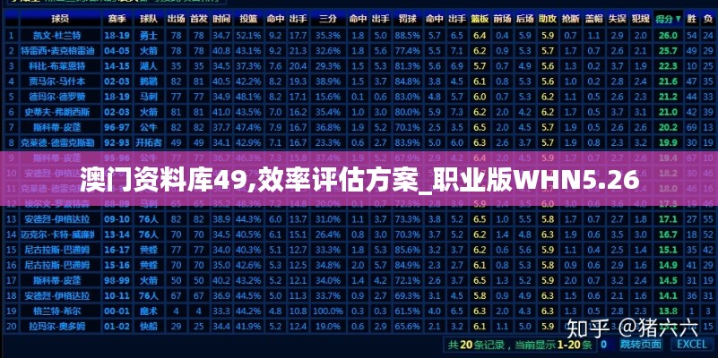 澳門資料庫49,效率評估方案_職業(yè)版WHN5.26