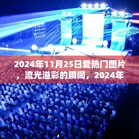 2024年11月25日愛熱門圖片回顧，流光溢彩的瞬間