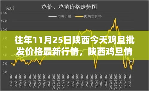 陜西雞旦情緣，批發(fā)價(jià)格最新行情與友情陪伴的溫馨故事