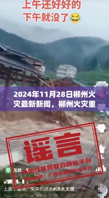 2024年11月28日郴州火災(zāi)重大事件，歷史瞬間的深遠(yuǎn)影響與最新進(jìn)展