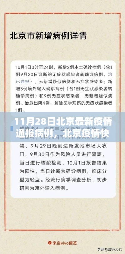 北京疫情最新通報(bào)，共同守護(hù)家園的抗疫進(jìn)展（11月28日）