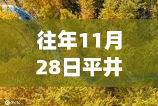 平井凌的秋日秘境之旅，探索自然美景，內(nèi)心寧?kù)o的尋覓之路