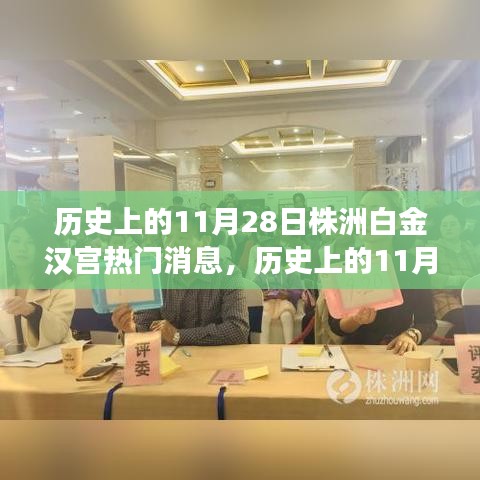 歷史上的11月28日株洲白金漢宮，熱門事件深度解析與獨(dú)特觀點(diǎn)