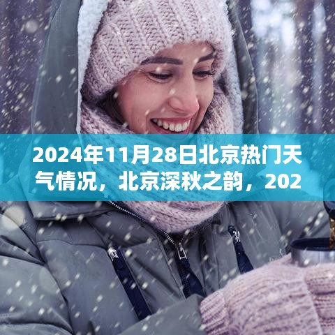 北京深秋之韻，揭秘2024年11月28日的天氣印記