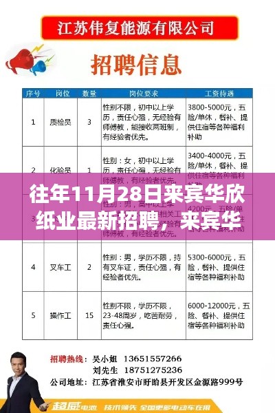 來賓華欣紙業(yè)最新招聘指南，流程詳解與應(yīng)聘成功之路