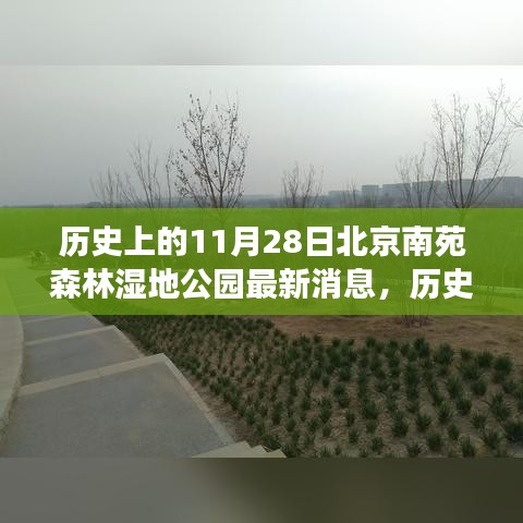 北京南苑森林濕地公園發(fā)展動態(tài)，歷史上的11月28日最新消息揭秘