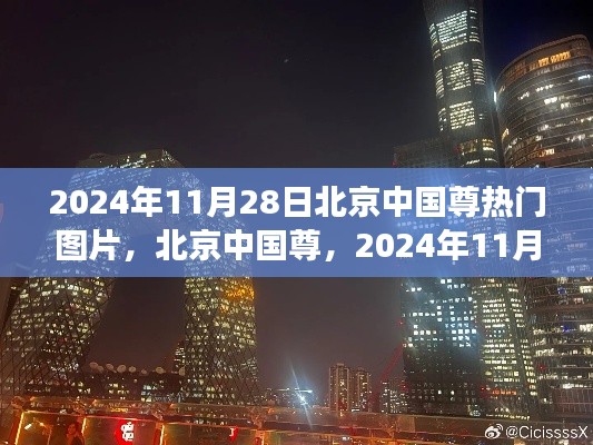 揭秘北京中國尊背后的故事，熱門圖片賞析，2024年11月28日當(dāng)日盛況回顧