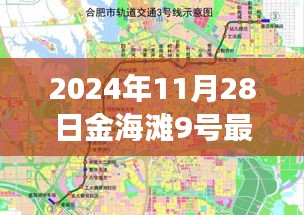 2024年11月28日金海灘9號最新動態(tài)揭秘，回顧與展望