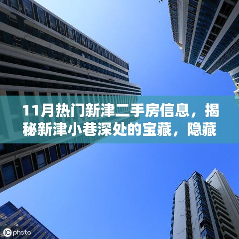 揭秘新津二手房熱潮，小巷深處的寶藏與特色小店盤點