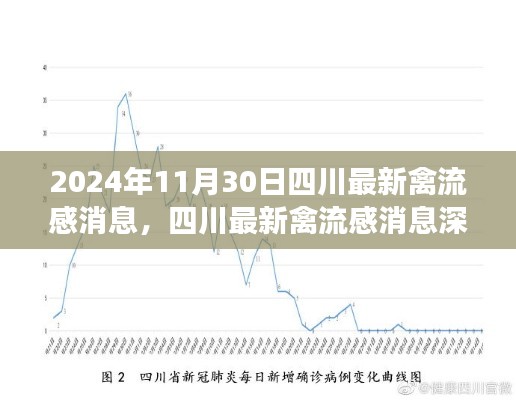 2024年11月30日四川禽流感最新消息深度解析與評測