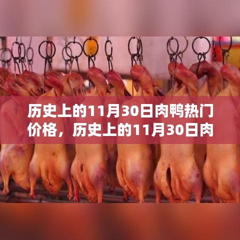 歷史上的11月30日肉鴨熱門價(jià)格深度解析與介紹