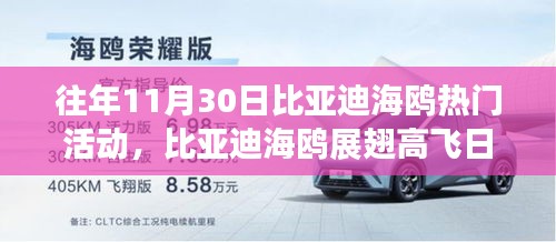 比亞迪海鷗展翅高飛日，變化、學(xué)習(xí)與自信的力量盛典