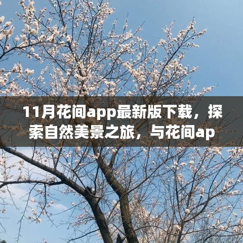 最新花間app下載，探索自然美景，尋找內(nèi)心桃花源之旅