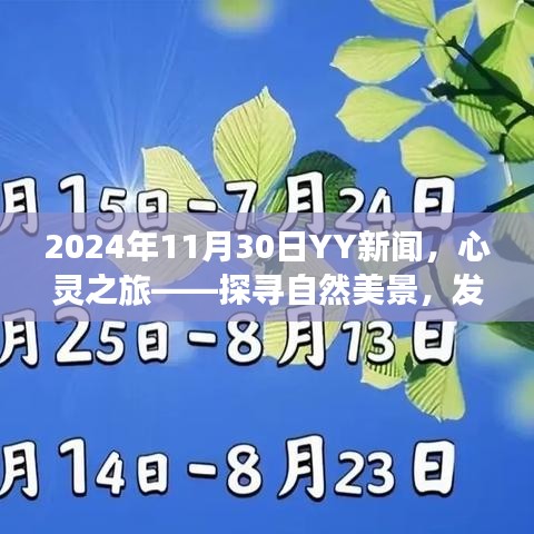 心靈之旅啟程，探尋自然美景，感悟內(nèi)心寧靜之美（2024年11月30日YY新聞）