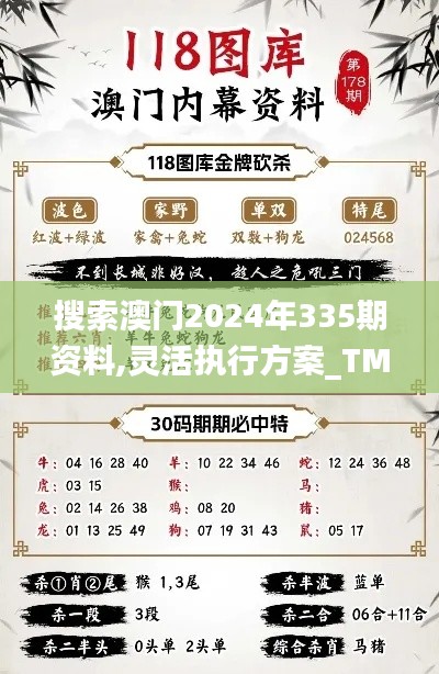 搜索澳門2024年335期資料,靈活執(zhí)行方案_TMU39.320顯示版