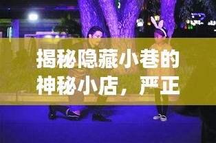 探尋隱秘小巷的神秘小店，嚴正花新風尚的驚喜之旅