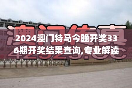 2024澳門特馬今晚開獎336期開獎結果查詢,專業(yè)解讀操行解決_SVE12.260世界版