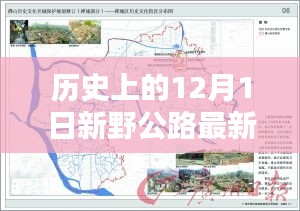 12月1日新野公路最新規(guī)劃圖全面解析與介紹