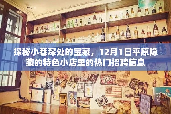 探秘小巷深處的寶藏，平原隱藏特色小店熱門(mén)招聘信息揭曉