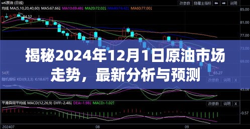 2024年12月1日原油市場走勢深度分析，最新預(yù)測與揭秘