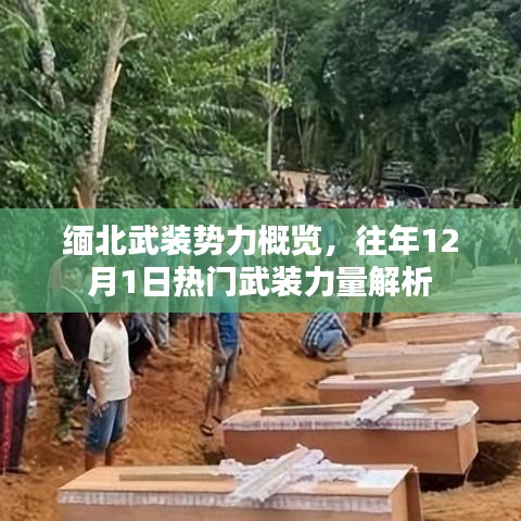 緬北武裝勢力深度解析，熱門武裝力量概覽與往年動態(tài)分析