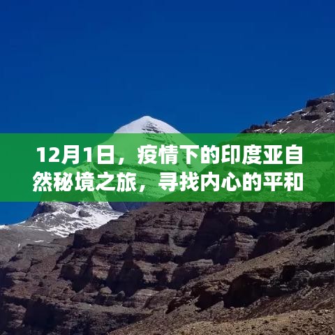 疫情下的印度亞自然秘境之旅，探尋內(nèi)心平和與寧靜的旅程