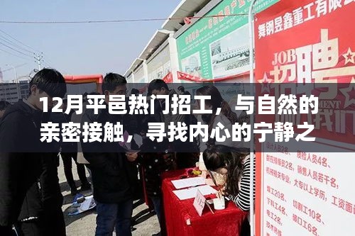 12月平邑熱門招工，與自然共舞，探尋內心寧靜之旅