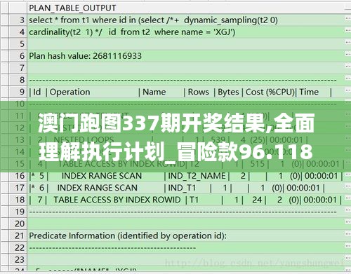 澳門跑圖337期開獎結果,全面理解執(zhí)行計劃_冒險款96.118-6