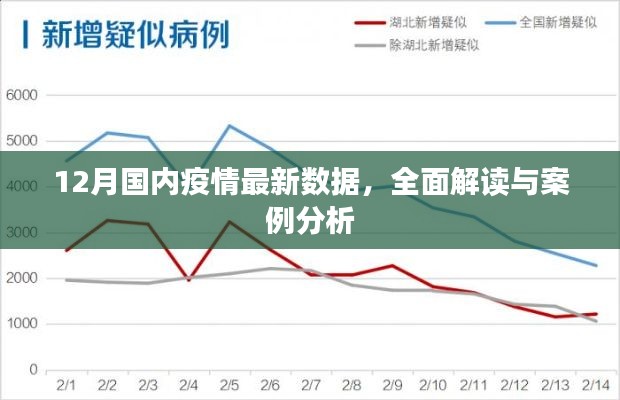 全面解讀與案例分析，12月國(guó)內(nèi)疫情最新數(shù)據(jù)報(bào)告