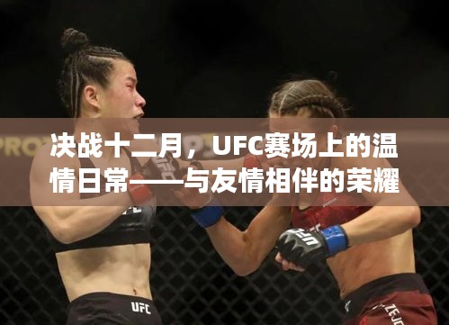 決戰(zhàn)十二月，UFC賽場上的溫情與榮耀時刻