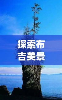 探索布吉美景，尋找內(nèi)心平靜的旅程，揭秘布吉未來熱門新去處預(yù)測 2024年展望