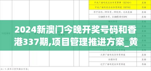 2024新澳門今晚開獎號碼和香港337期,項目管理推進(jìn)方案_黃金版94.539-9