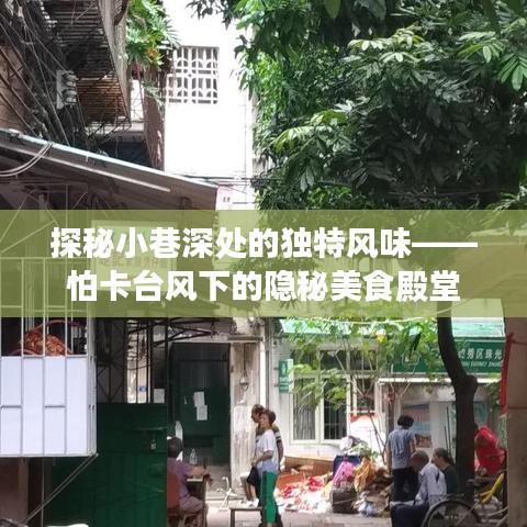 探秘臺風(fēng)下小巷深處的獨特美食殿堂——怕卡隱秘美食之旅