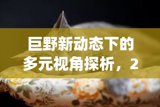 巨野新動態(tài)下的多元視角觀察與深度探析——2024年12月2日的洞察