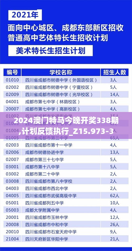 2024澳門特馬今晚開獎338期,計劃反饋執(zhí)行_Z15.973-3