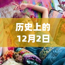 濱崎步的成長之路，歷史上的12月2日，初學(xué)者與進(jìn)階用戶的指南