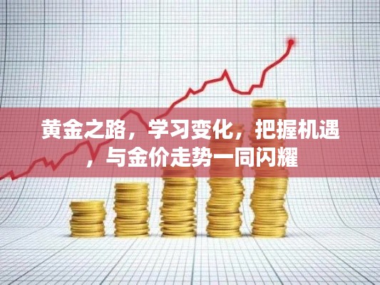 黃金之路，學(xué)習(xí)變化，把握機(jī)遇，共舞金價閃耀之路