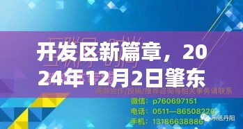 開發(fā)區(qū)新篇章，肇東求職奇遇與友情綻放記（2024年12月2日）