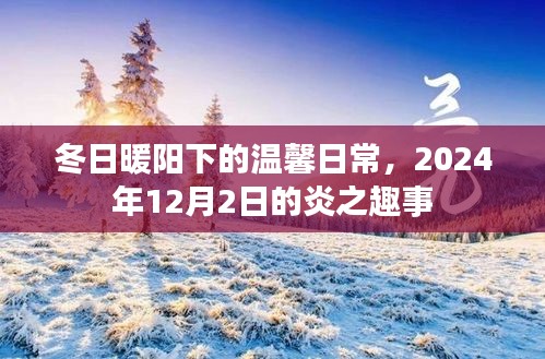 冬日暖陽(yáng)下的溫馨日常，炎之趣事，2024年12月2日