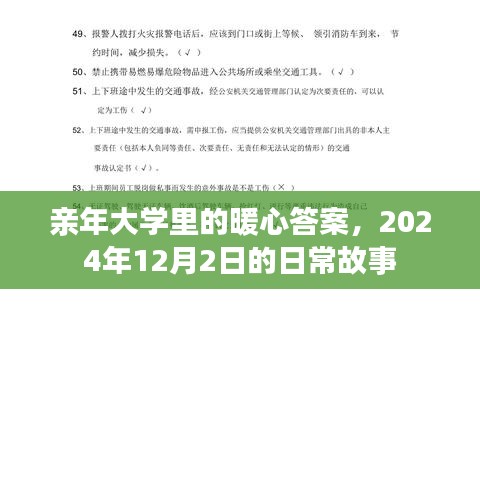 親年大學暖心日常，暖心答案背后的故事，2024年12月2日篇章