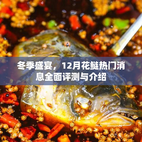 冬季盛宴，全面評測與介紹花鰱熱門消息，12月不容錯過！