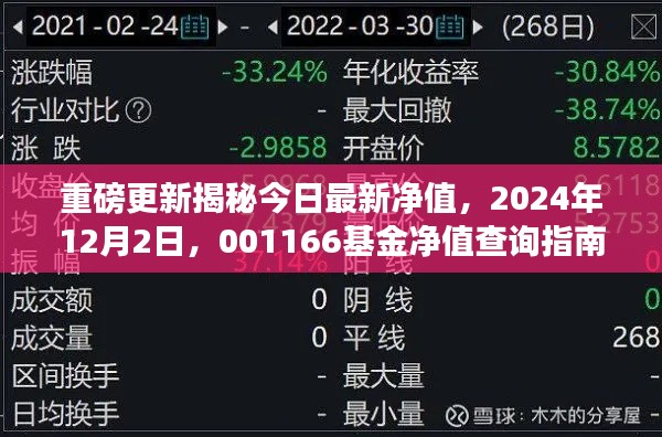 重磅更新，今日最新凈值揭秘，001166基金凈值查詢指南（2024年12月2日）